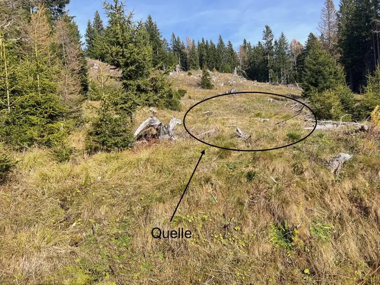 11 ha Wald in Murau Umgebung