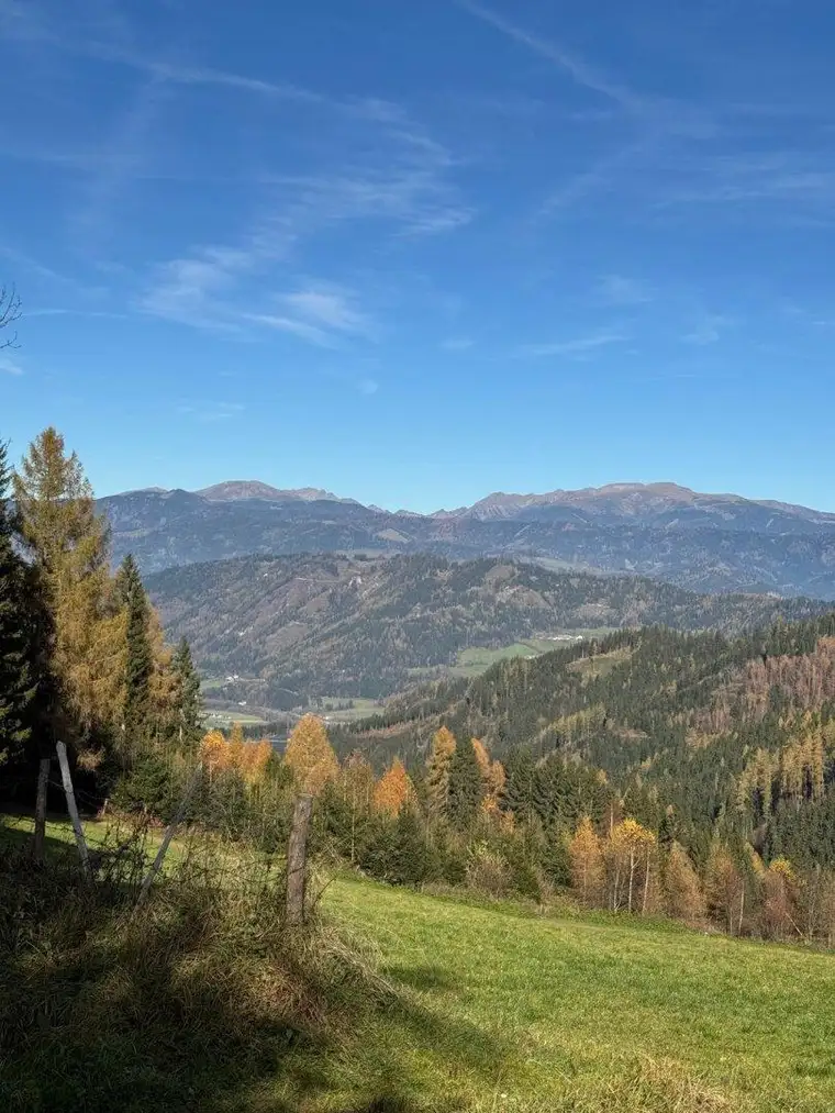 57 ha Wald mit hohem Altholzbestand