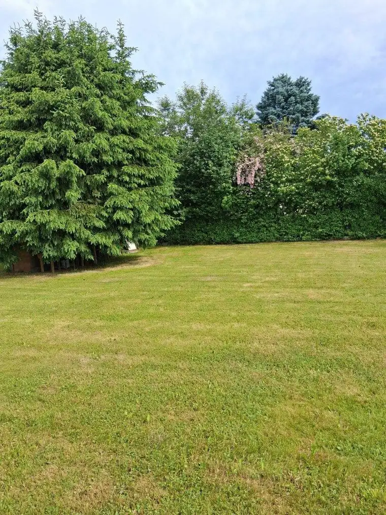 ++800 m² sonniges, schönes Grundstück in Großlobming++