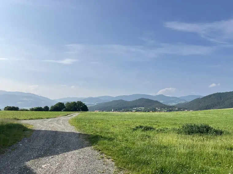 17 ha Bauernhof mit arrondierter Panoramalage