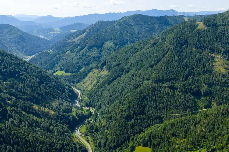 123 ha Eigenjagd mit hohem Altholzbestand