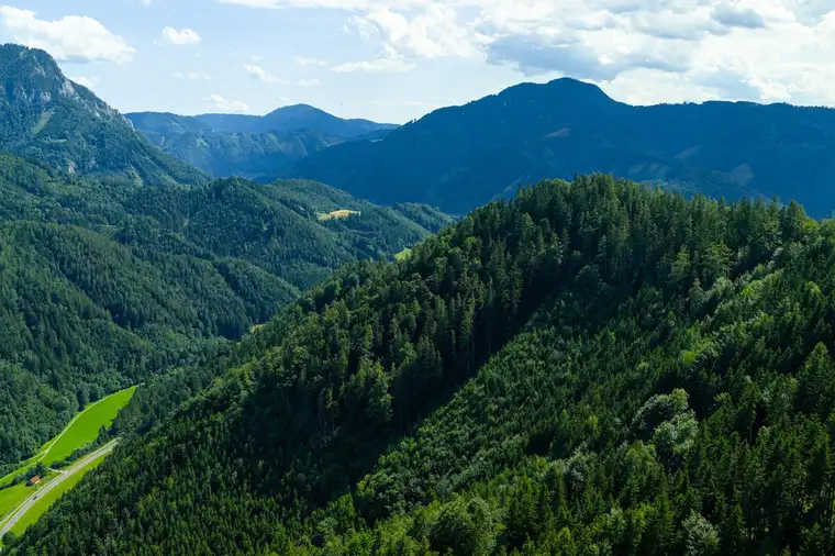 137 ha Forstbesitz/Jagdfläche 220 ha/großer Wirtschaftswald, nahe Teichalm