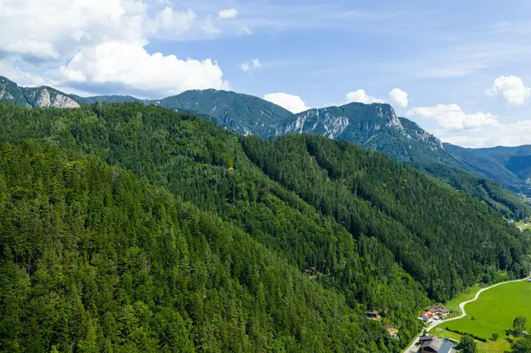 Forstbesitz in Graz Umgebung - 220 ha Jagd