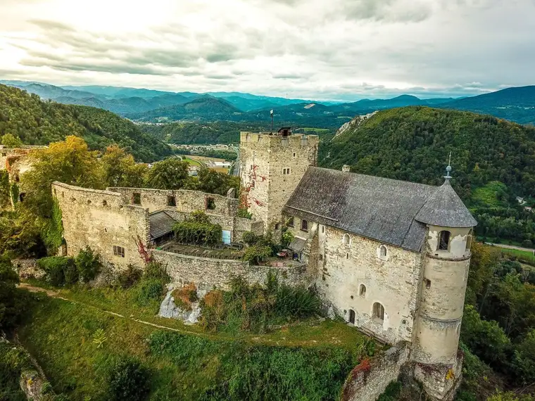 175 ha Eigenjagd mit Ruine u. Weingarten - Graz - Gösting