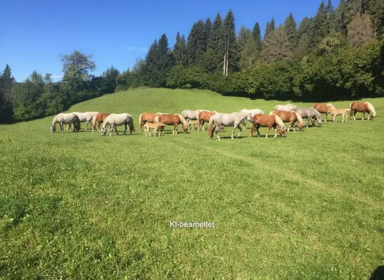 3 ha Grund &amp; Boden - Wertanlage