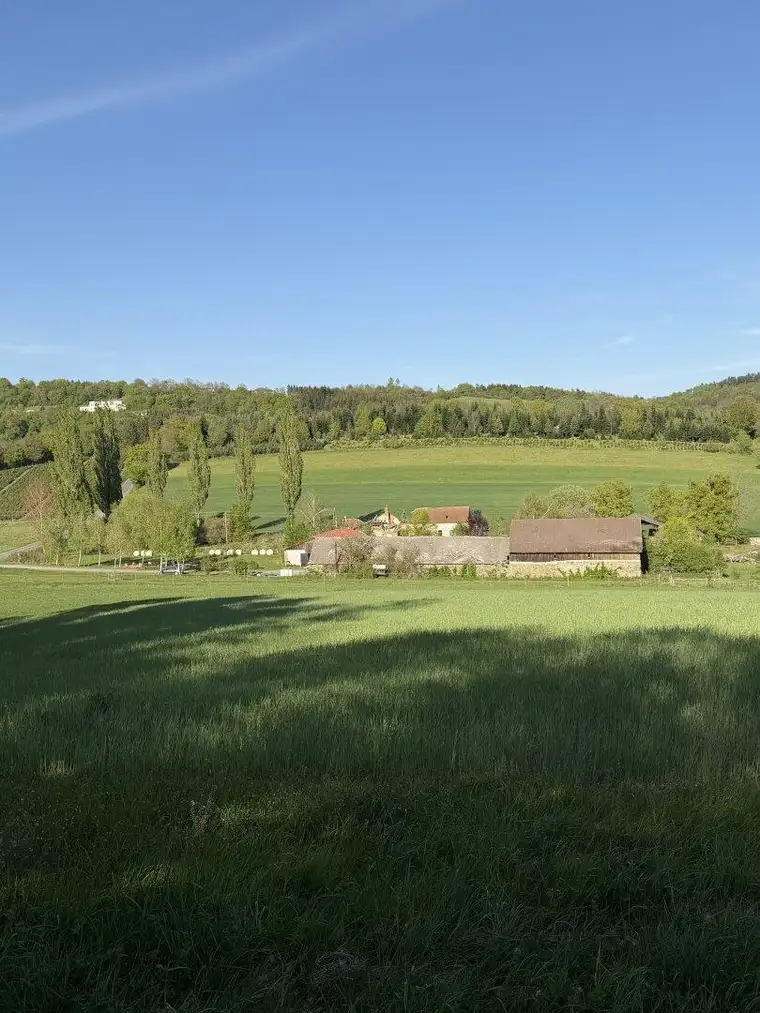 20 ha Landw. Anwesen I Bauernhof