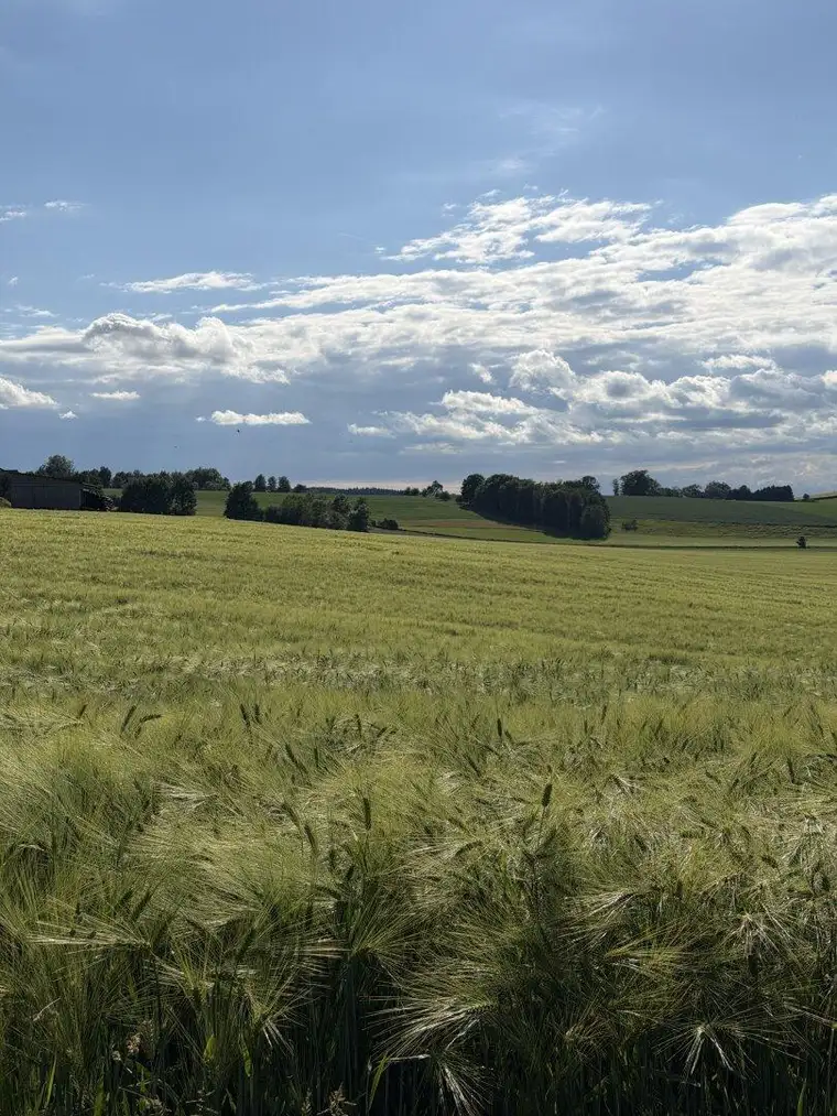 Landwirtschaftsfläche 7,2 ha | BDZ 48 | Nähe Schärding