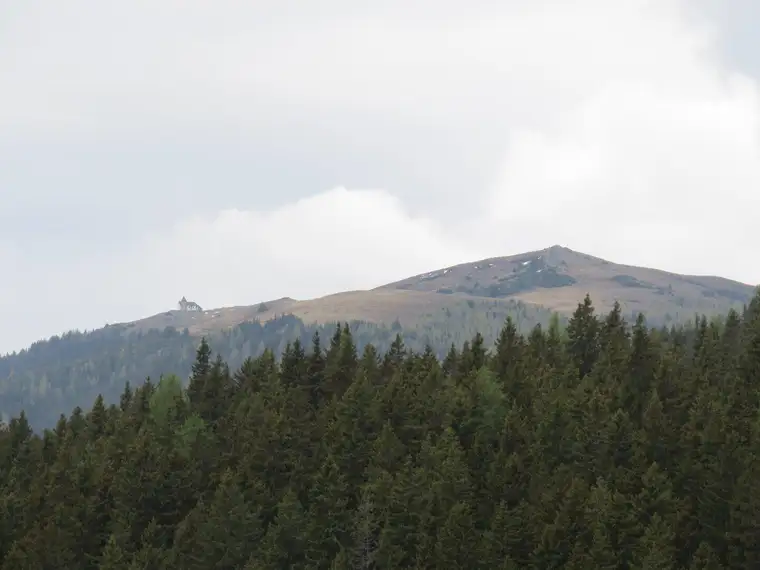 5 ha Waldfläche I Knittelfeld Umgebung