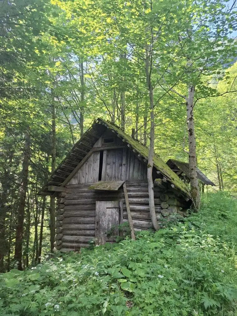 33 ha Naturidylle – Waldbesitz mit Fischteich und Hütte