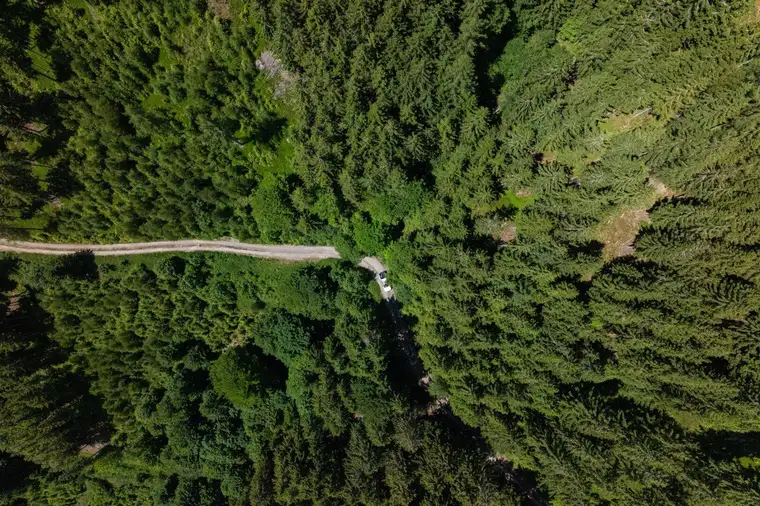 180 ha Forstbesitz - Eigenjagd Obersteiermark