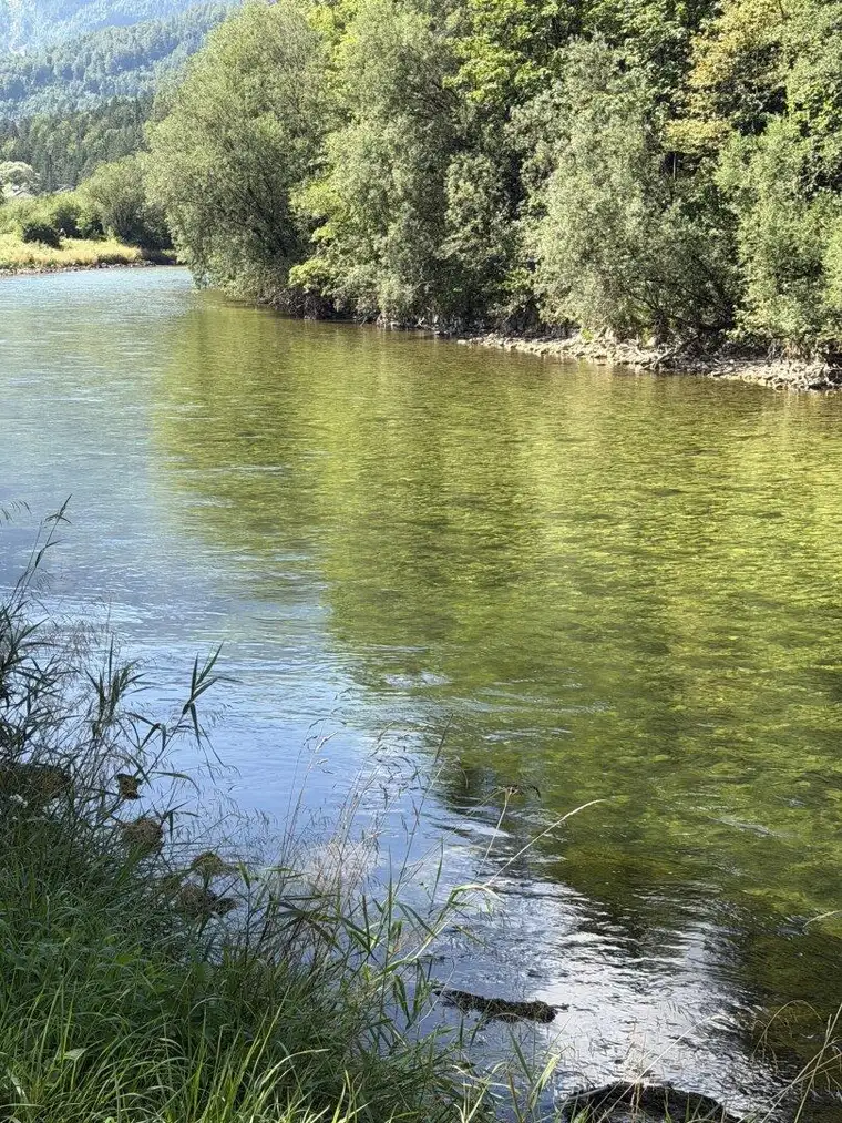 5,7 km Fliegen - Fischwasser Kärnten