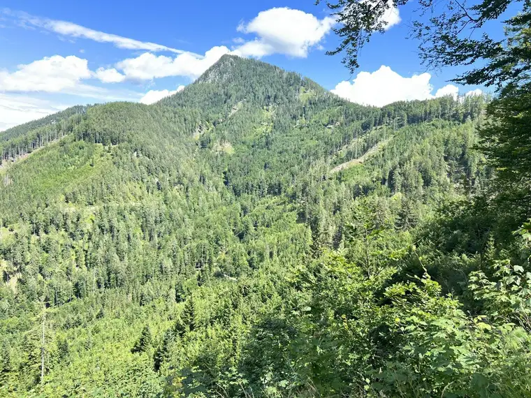 228 ha Jagd- u. Forstparadies nahe Wörthersee, Klopeiner See