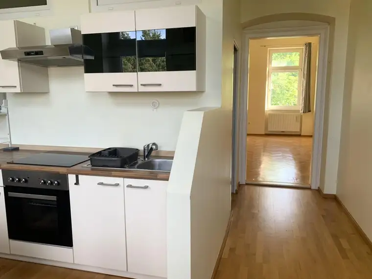 Sonnige Einzimmerwohnung mit Gartenmitbenützung