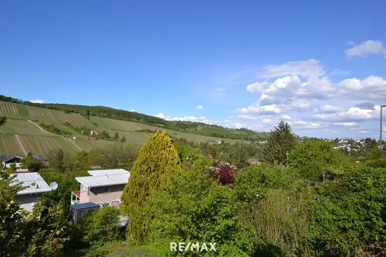 Kleingarten-Pachtgrundstück in Top Grün-Ruhelage mit Weinbergblick! Angebotsverfahren!