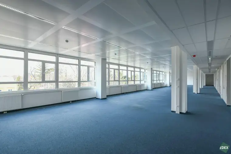 Moderne Büroflächen im Forum Schönbrunn