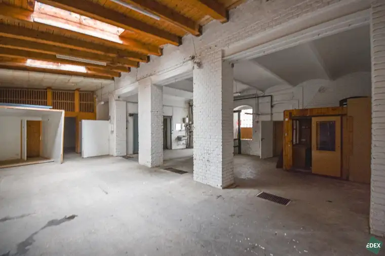 Severin Appelt, EDEX Immobilien GmbH