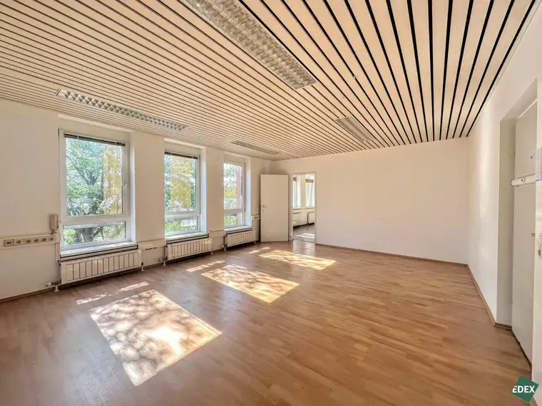 Severin Appelt, EDEX Immobilien GmbH