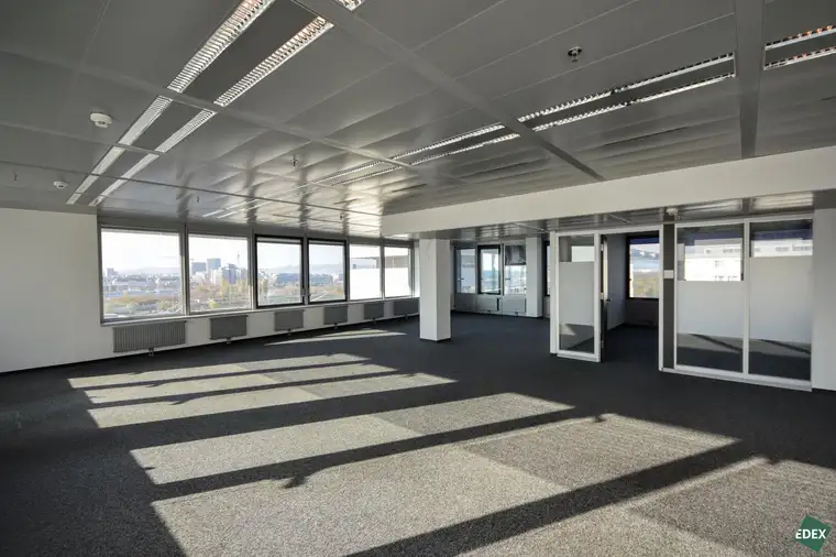Modernes Arbeiten im Ares Tower!