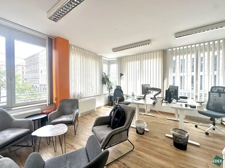 Harald Anderlik, EDEX Immobilien GmbH