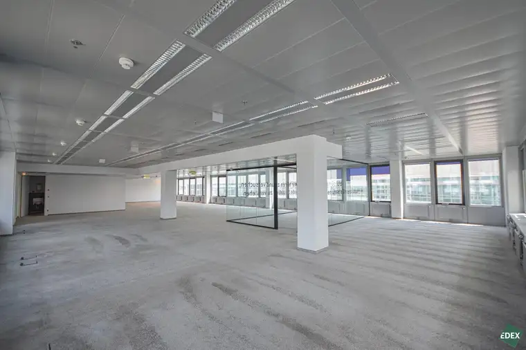 Modernes Arbeiten im Ares Tower!