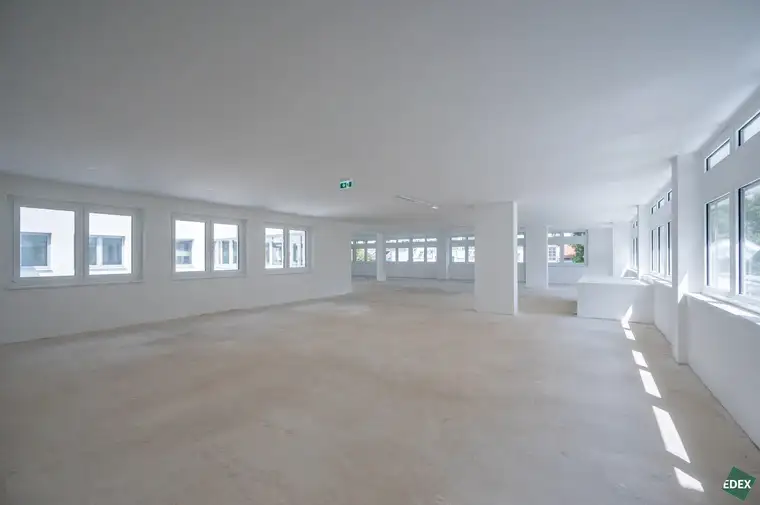 Erstbezug: Moderne Büroflächen in Hietzinger Bestlage