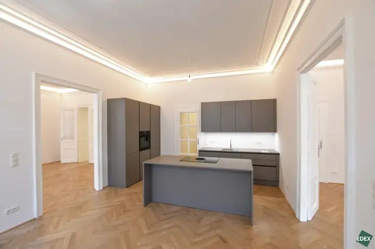 Erstbezug nach Sanierung | Traumhafte 5 Zimmer-Altbauwohnung im Salzgries
