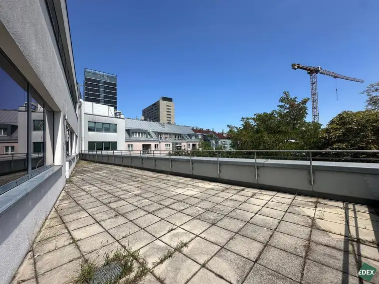 Sören Volkmer, EDEX Immobilien GmbH