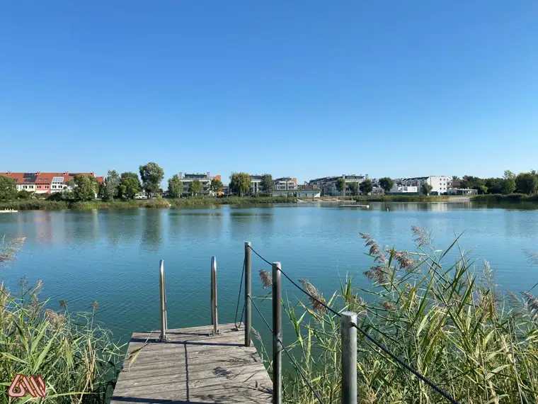 Modernes Wohnen direkt am Wasser an der Wr. Stadtgrenze