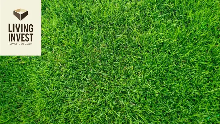 Schöner Wohnen im Mühlviertel – preiswertes Grundstück nahe Ulrichsberg