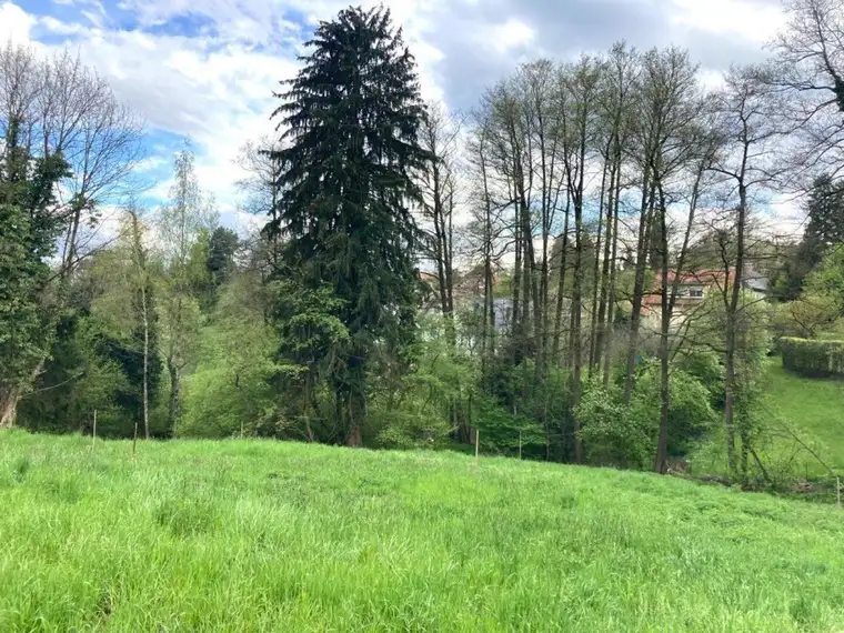 Graz-Rosenberg: Wohnen, wo andere spazieren gehen – Sonniges Baugrundstück in Toplage nähe Hilmteich!