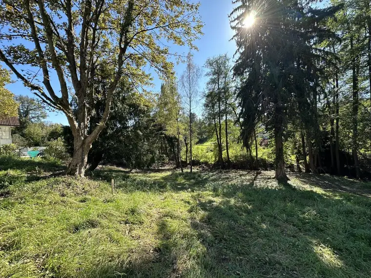 Graz-Rosenberg: Wohnen in und mit der Natur - Grundstück mit Bewilligung für ein Einfamilienhaus!