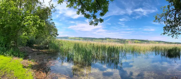 MATTSEE / SEEGRUNDSTÜCK für Villa direkt am Obertrumer See