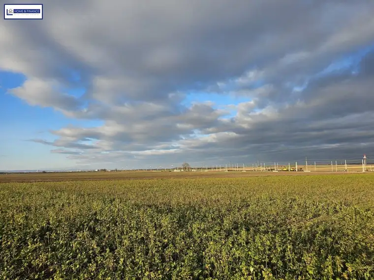 Gewerbegrundstück in Gramatneusiedl zu vermieten – flexible Flächen bis 6.000 m²