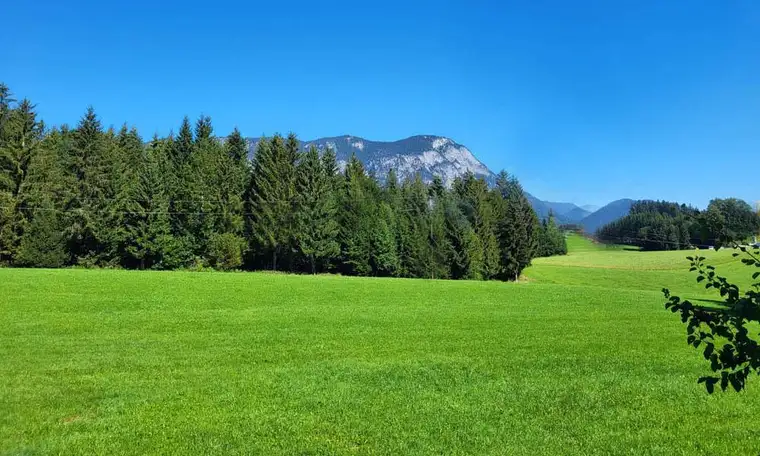 Grundstück mit Haus "Wohnen wie auf der Alm" für Erwerb keine landwirtschaftliche Ausbildung nötig