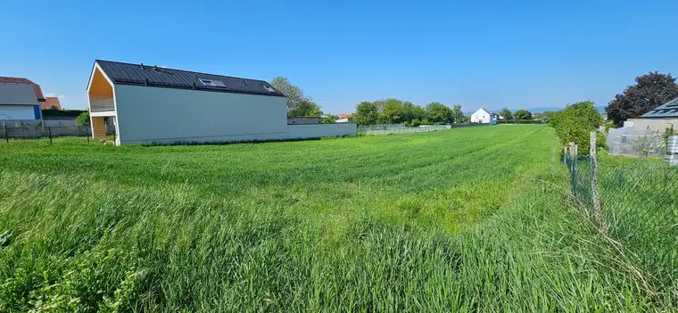 Wunderschöner sonniger Baugrund in Oslip