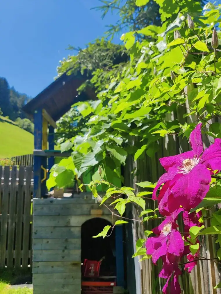 Flower-Power ! 4 Zimmer-Gartenwohnung in Volderwald