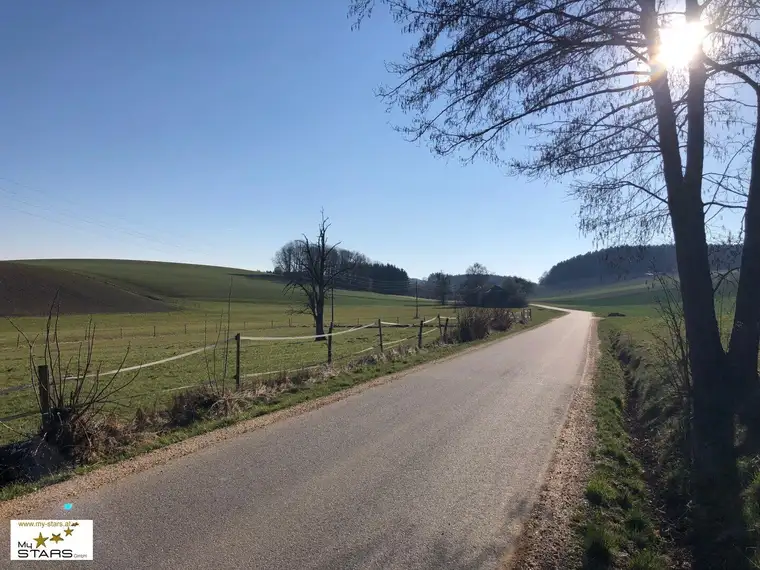 landwirtschaftliche Nutzfläche, Ackerfläche in Renetsham nahe Ried im Innkreis zu verkaufen