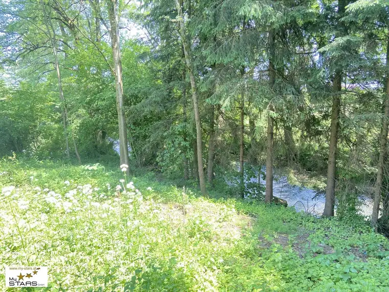 idyllisches Baugrundstück ohne Bauzwang in Jeging, nahe Lochen am See