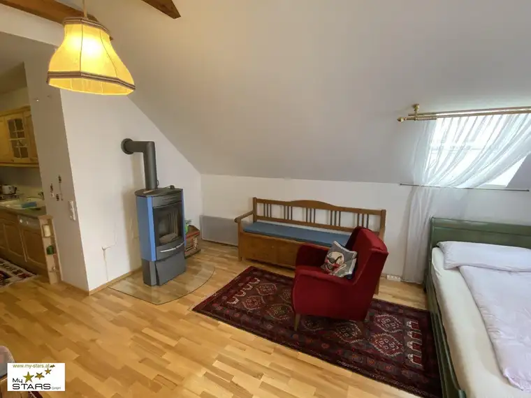Neuer Preis! - Loftwohnung in historischer Villa mit Garten - Ruhe &amp; Lebensqualität im Ausseerland