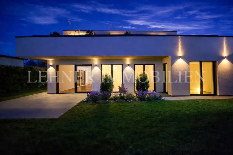 Gerald Lehner, Lehner Immobilien GmbH