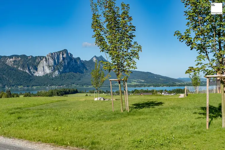 Sehr exklusive Gartenwohnung bei Mondsee mit Seeblick zu vermieten