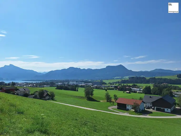 1,7 Hektar Areal im Mondseeland zu verkaufen!
