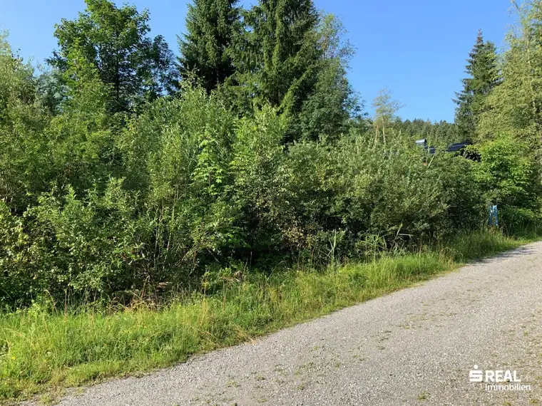 Nimm doch mal eine Auszeit: Grundstück mit Ferienwidmung