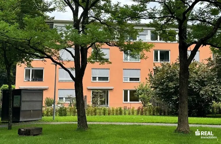 Singlewohnung mitten im Zentrum und doch im Grünen
