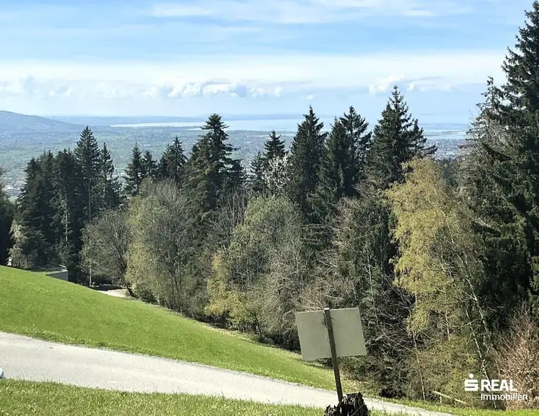 Beste Aussichten!