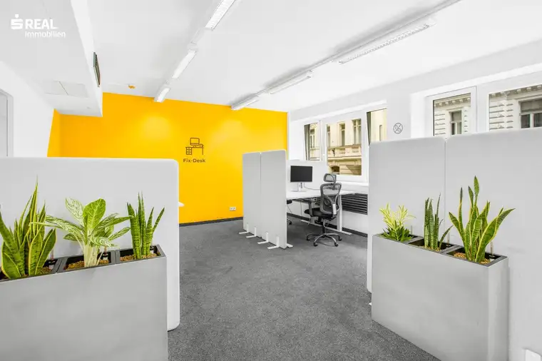 GERÄUMIGES BÜRO NAHE DEM KARLSPLATZ