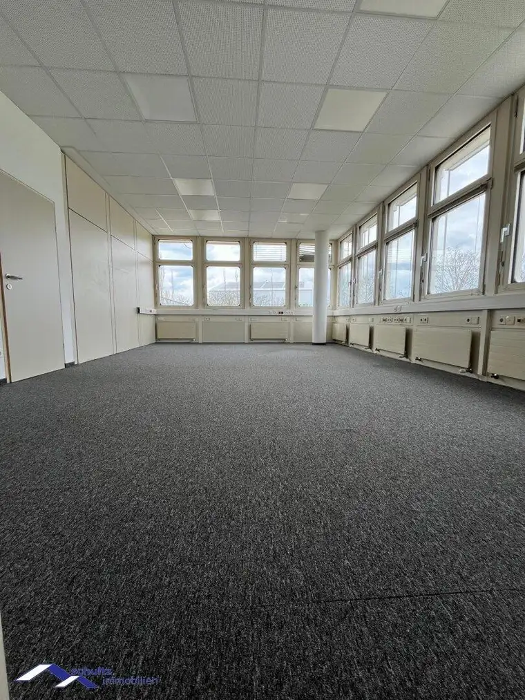SCHULTZ IMMOBILIEN - Interessantes Betriebsobjekt mit Büro, Lager und weiteren Flächen!