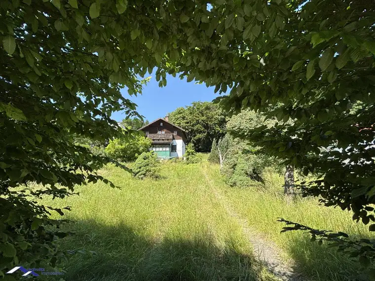 SCHULTZ IMMOBILIEN - Traumhaftes Baugrundstück in Mauerbach – 1.771 m² für Ihr Eigenheim!