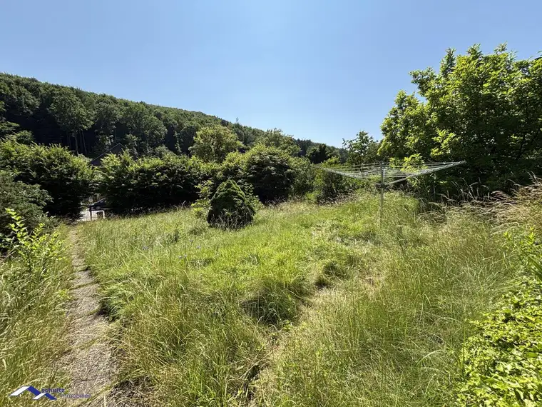 SCHULTZ IMMOBILIEN - Traumhafte(s) Baugrundstück(e) in Mauerbach – Gesamtfläche ca. 1.771 m² bestehend aus 2 nebeneinander liegenden Grundstücken - ab € 324.500,-