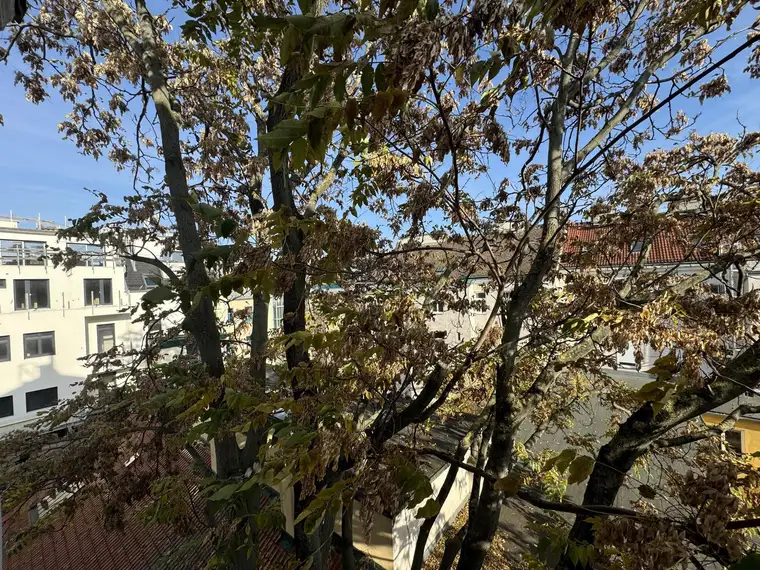 Eleganter Altbau nahe dem lebendigen Yppenmarkt!